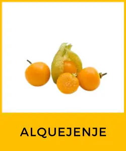 Alquejenje