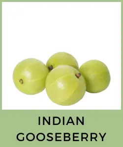 Indian Gooseberry (Amla)