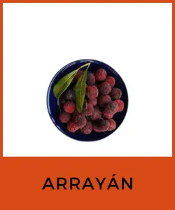 Arrayán