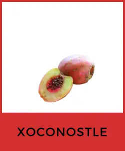 Xoconostle (Opuntia joconostle)