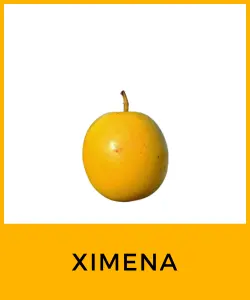 Ximena (Ximenia americana)