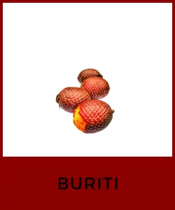 Buriti