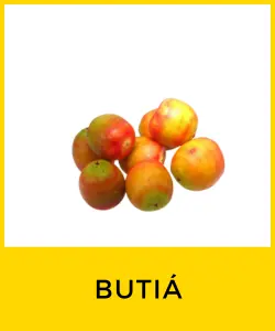 Butiá