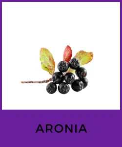 Aronia