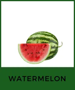 Watermelon (Sandía)