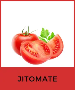 Jitomate