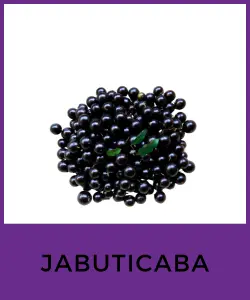 Jabuticaba