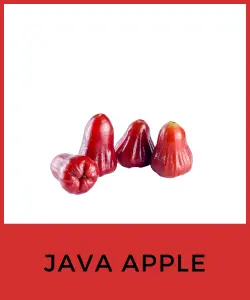 Java Apple (Manzana de Java o Rose Apple)