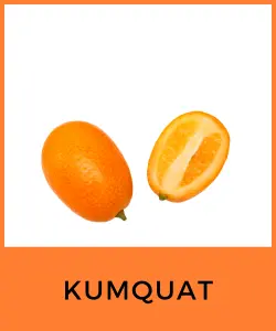 Kumquat