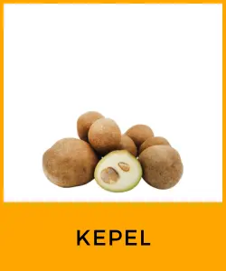 Kepel