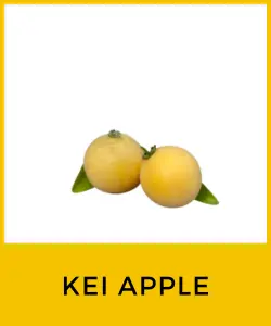 Kei Apple