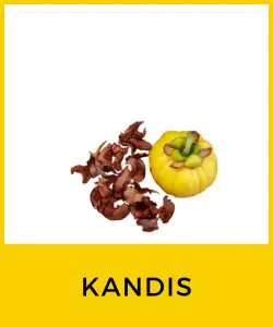 Kandis