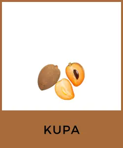 Kupa