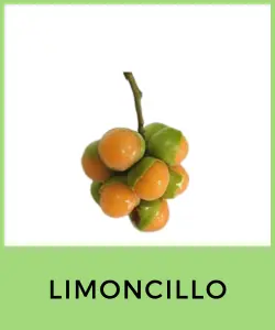 Limoncillo