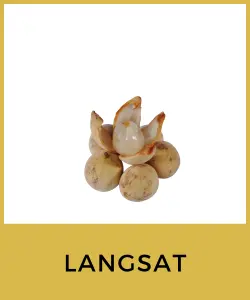 Langsat