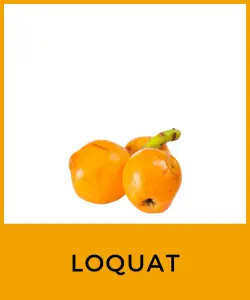 Loquat (Níspero japonés)