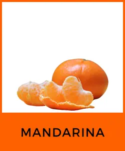 Mandarina