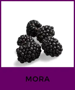 Mora