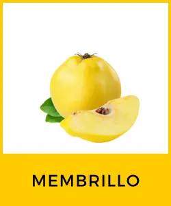 Membrillo