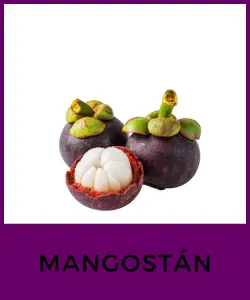 Mangostán