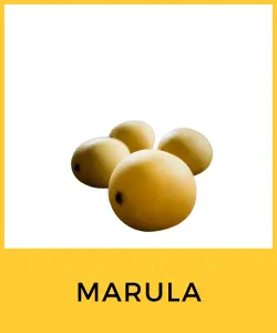 Marula