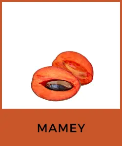 Mamey