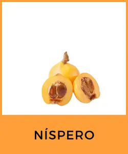 Níspero