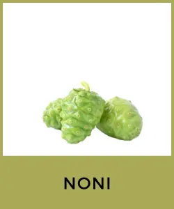 Noni