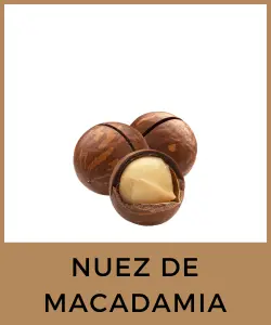 Nuez de Macadamia