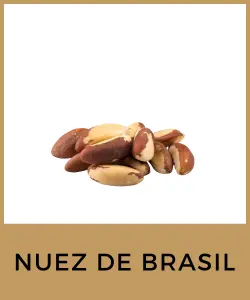 Nuez de Brasil