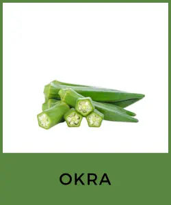 Okra (Quilete o Abelmosco)