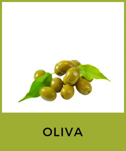 Oliva