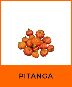 Pitanga (Eugenia uniflora)