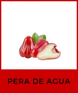 Pera de Agua (Syzygium aqueum)