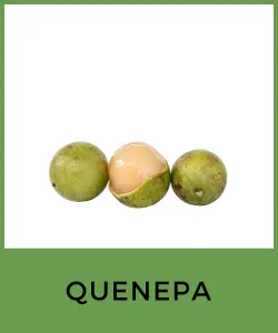 Quenepa (Níspero, Mamón)