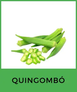 Quingombó (Okra)