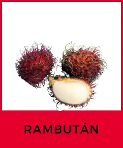 Rambután (Nephelium lappaceum)