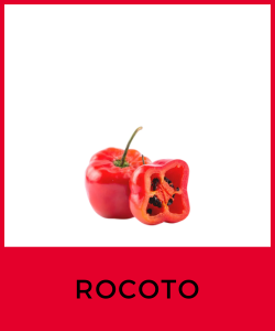 Rocoto (Capsicum pubescens)