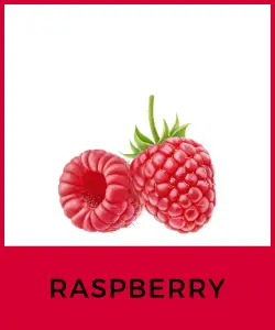 Raspberry (Frambuesa)