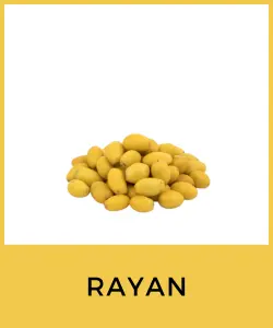 Rayan (Baccaurea ramiflora)