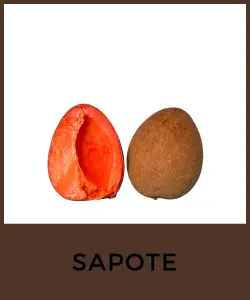 Sapote (Pouteria spp.)