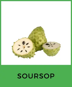 Soursop (Guanábana)