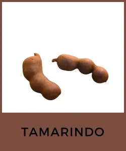 Tamarindo (Tamarindus indica)