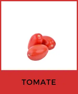 Tomate (Solanum lycopersicum)