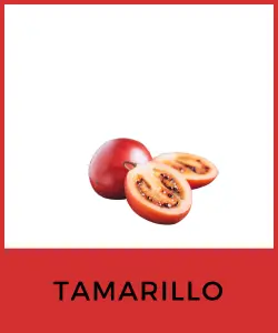 Tamarillo (Solanum betaceum)