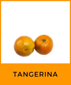 Tangerina (Citrus reticulata)