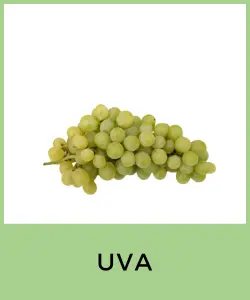 Uva (Vitis vinifera)