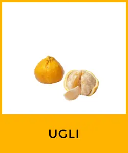 Ugli (Citrus reticulata × Citrus paradisi)