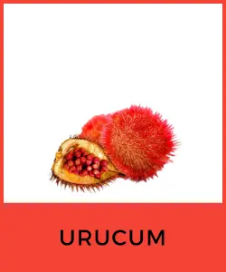 Urucum (Bixa orellana)