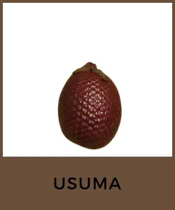 Usuma (Mauritia flexuosa)